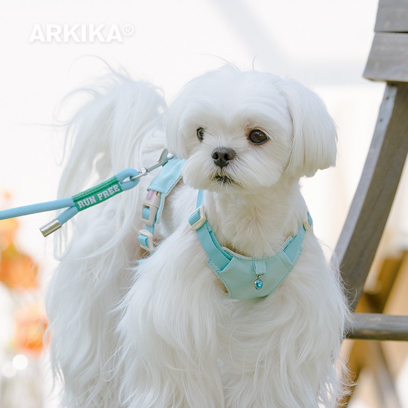 AR马IKA小狗狗胸背牵引绳小型犬遛狗泰迪K尔济斯比熊宠物背心式绳 - 实物图