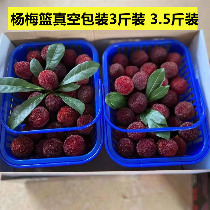 杨梅篮3斤装真空包装快递篮车葚草水果篮子樱桃篮莓篮子桑厘子篮