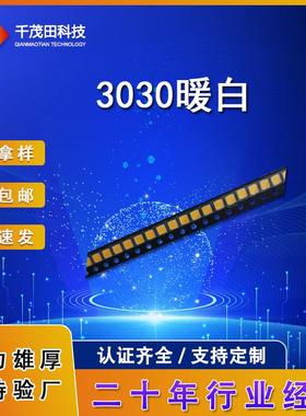 高光效3030灯珠白色暖白红绿蓝3V 6V发光二极管LED贴片灯3030灯珠