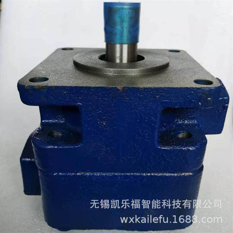 叶片泵YB1-10 注塑机油泵 切削机床油泵,标准件/零部件/工业耗材,液压泵,淘宝优惠券,粉丝福利购,淘宝优惠卷