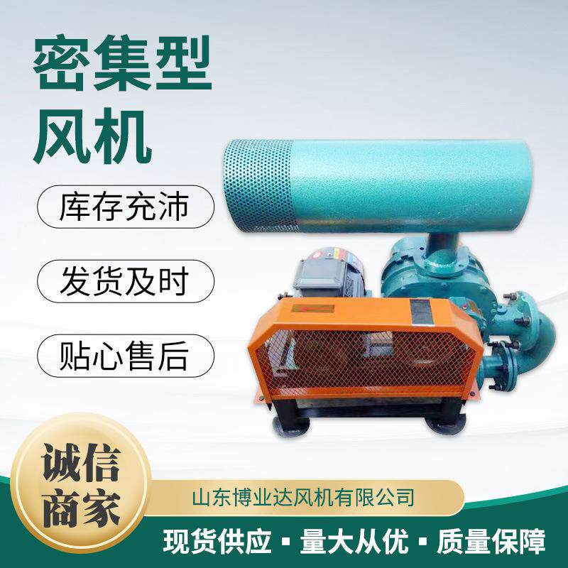 罗茨风机污水处理风机水处理曝气风机生产厂家密集型罗茨风机