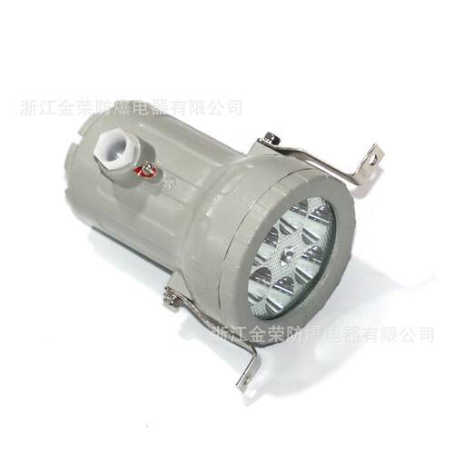 金荣BAK85防爆LED视孔灯BAK51反应釜视镜灯BSD96延时24V36V内视灯