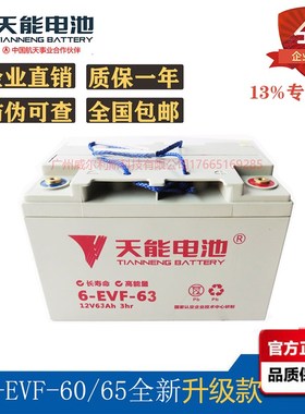 天能6-EVF-60-61 12V60AH65AH电动三轮车 四轮车 电叉车 篷车电池