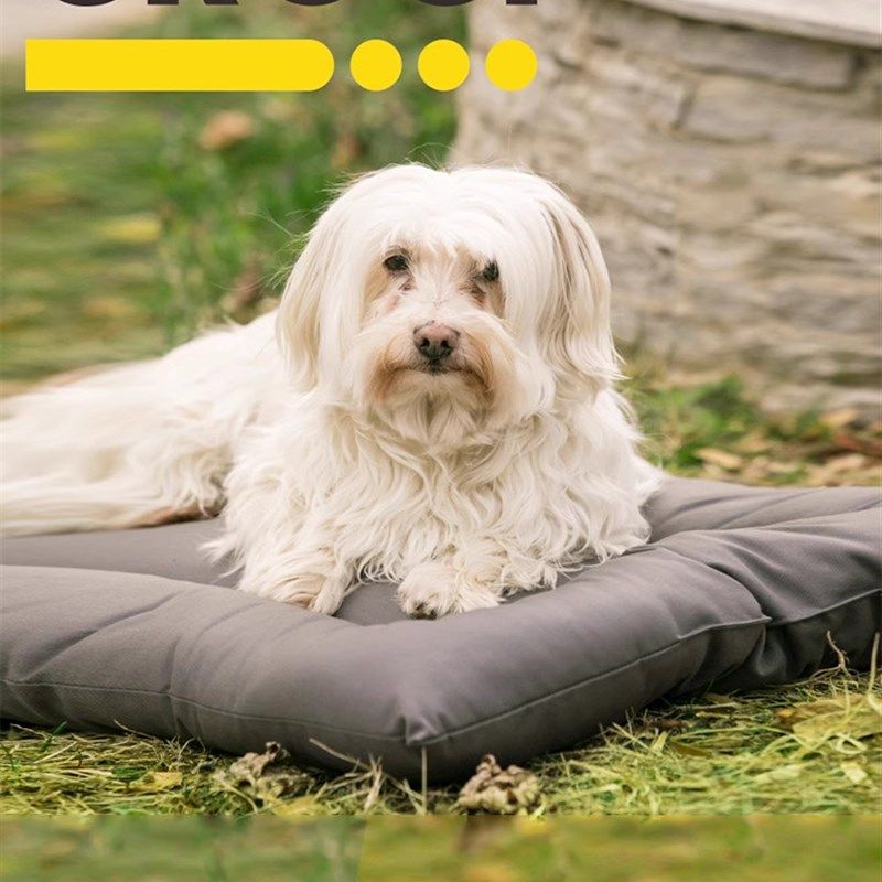 CROCI四季通用宠物睡垫狗笼垫子睡觉猫咪宠物用品狗床牛津布狗窝,宠物/宠物食品及用品,猫狗垫子,淘宝优惠券,粉丝福利购,淘宝优惠卷