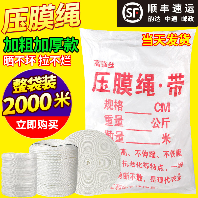 大棚绳子膜压绳捆绑绳子扁带大棚拉绳m老化耐高温3c防加厚压膜线