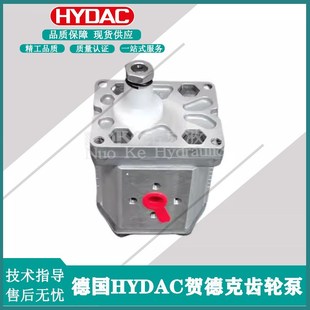 125 RMK1 200 175 150 100 贺德克HYDAC齿轮泵PGE100