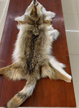 进口整只真狼皮加拿大郊狼皮床边毯皮草家居摆件装饰坐垫DIY手工