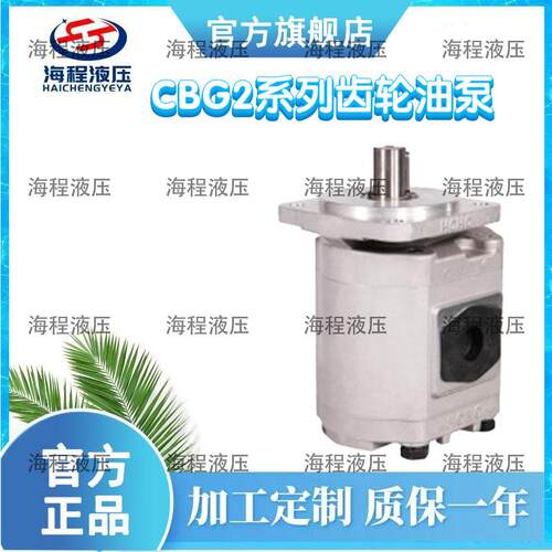 CBG2系列齿轮油泵单联泵C齿轮泵