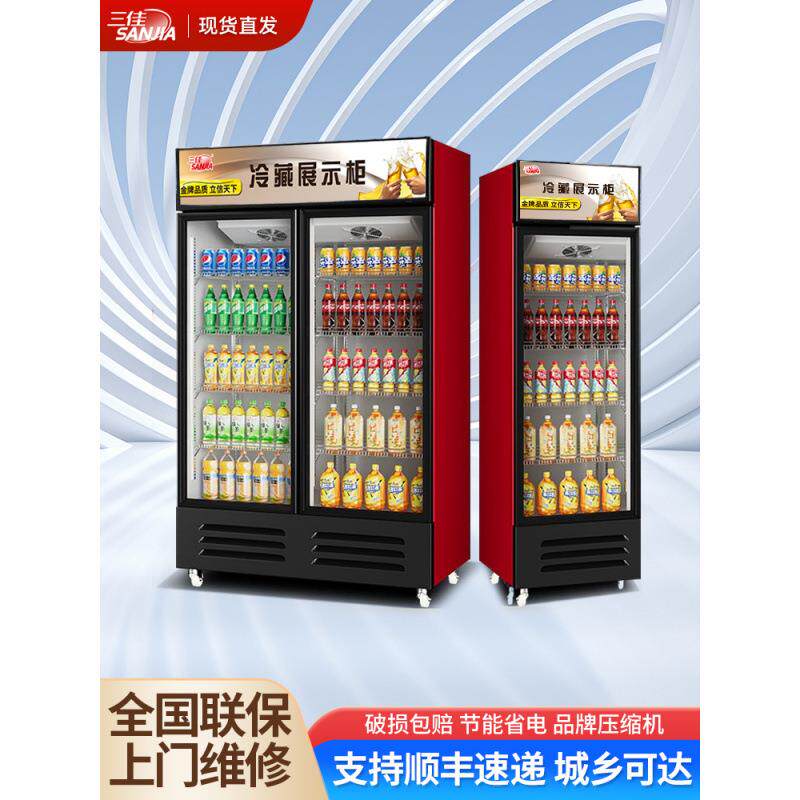 双门柜商用柜立式冰柜啤酒饭店冰箱单门冷藏展示柜保鲜柜饮料超市