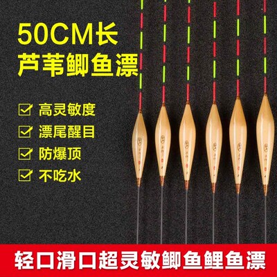 正卢鱼漂50/60公分长加长芦苇浮漂LPA60黑坑行程鲫鱼漂轻口鲤鱼漂