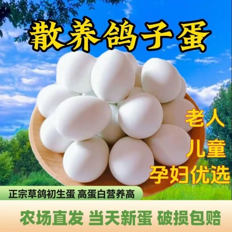 鸽子蛋新鲜30枚散养农家白鸽孕妈宝宝辅食杂粮喂养初生正宗土鸽蛋