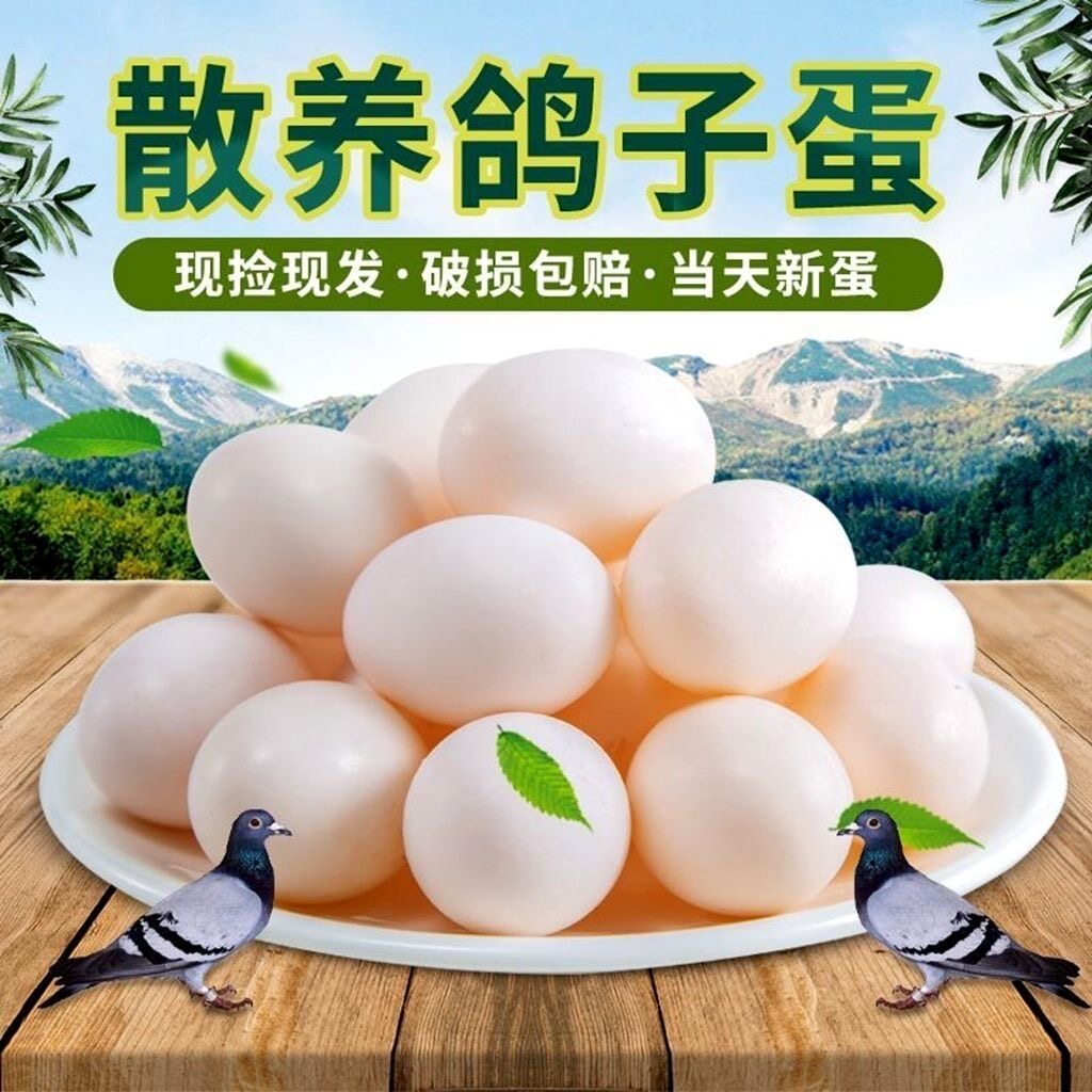 顺丰到家】正宗沂蒙鸽子蛋新鲜农家散养五谷杂粮喂养信鸽孕妇宝宝