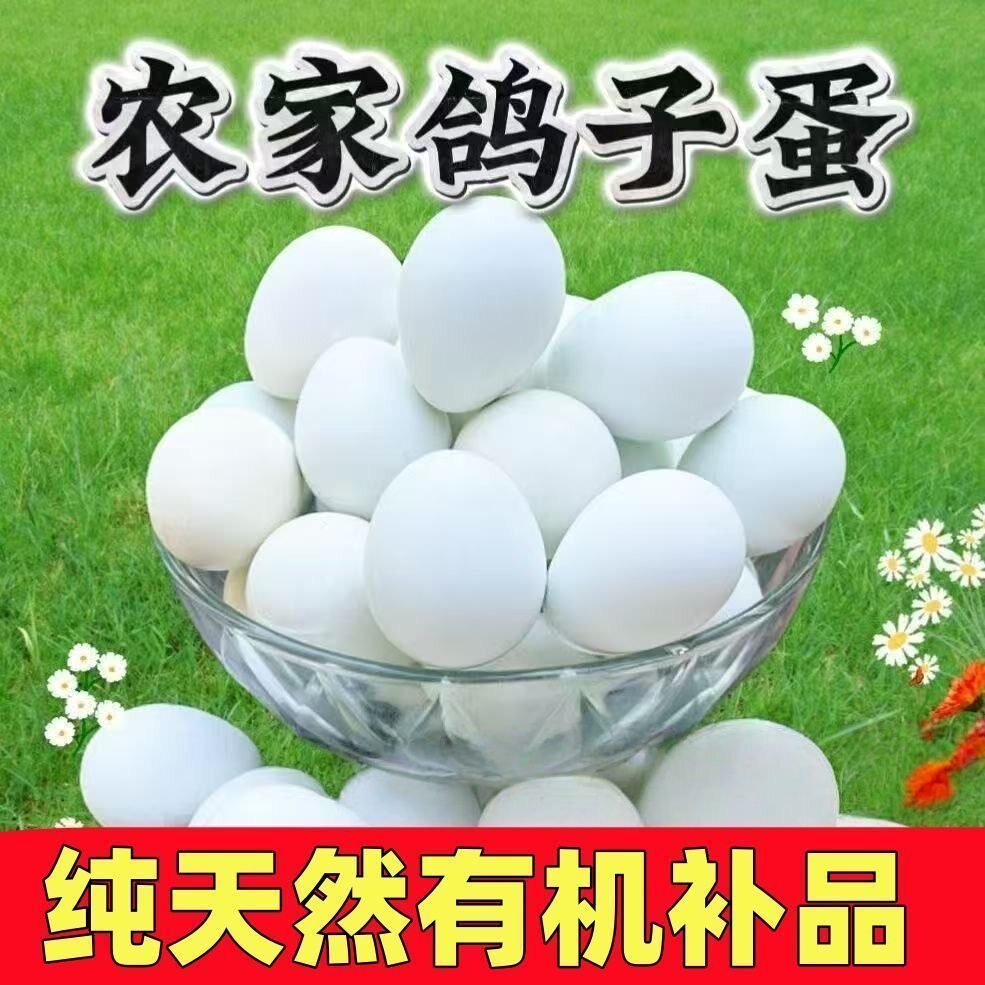 正宗新鲜鸽子蛋农场散养大个信鸽蛋五谷喂养白鸽蛋土鸽蛋生鲜30枚