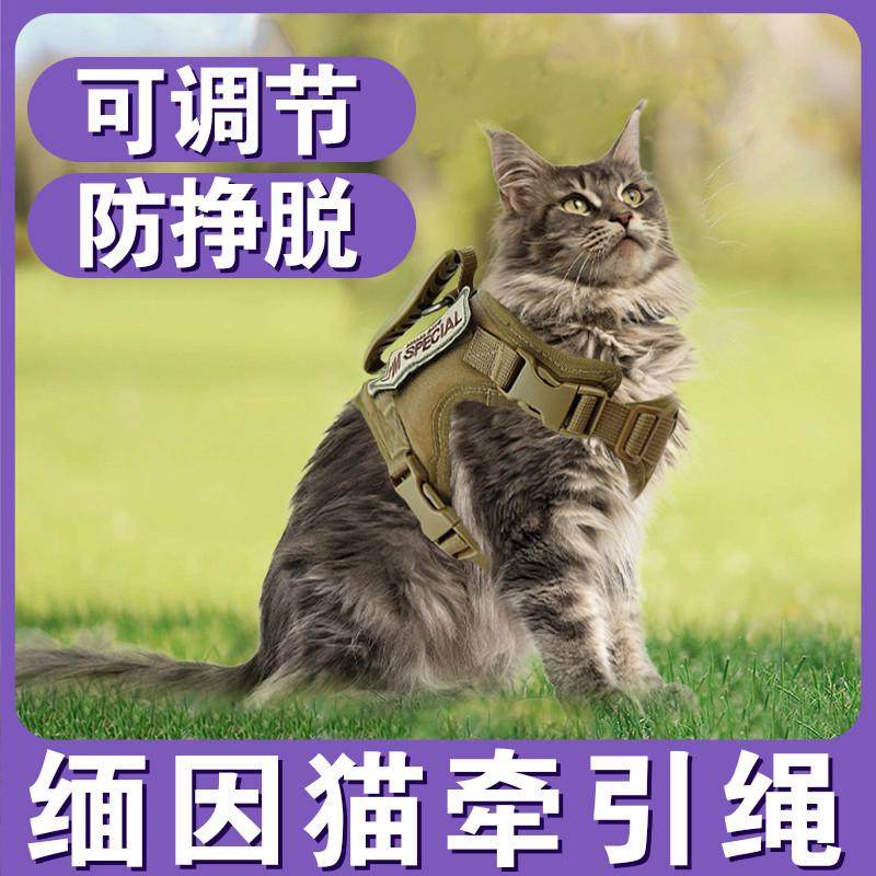 缅因猫用品牵引绳战术猫咪胸背带背心式防挣脱可调节外出溜猫绳,宠物/宠物食品及用品,猫牵引绳,淘宝优惠券,粉丝福利购,淘宝优惠卷