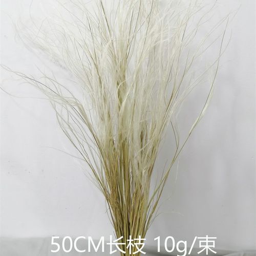 50CM长枝仙女草干花包羽毛草进口花束小清新客厅装饰天然插花材料