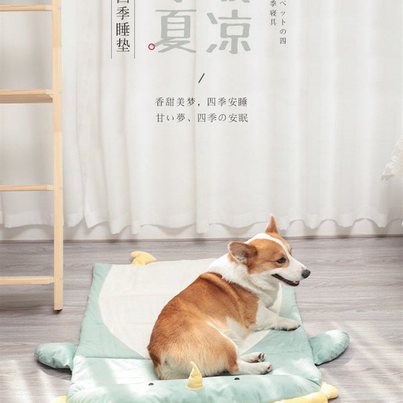 宠物睡觉垫子猫咪狗狗大型窝垫四季通用地垫藤席垫耐抓耐咬可拆洗,宠物/宠物食品及用品,猫狗垫子,淘宝优惠券,粉丝福利购,淘宝优惠卷