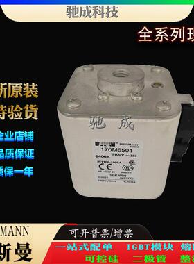 巴斯曼170M6367 170M6368 170M6376 大量现货销售 原装熔断器