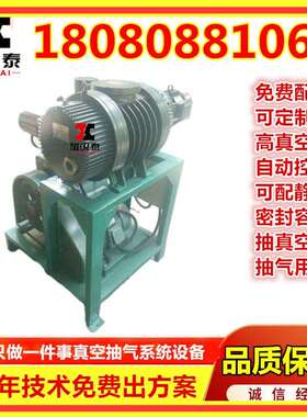 JZJX150-5真空机组ZJP150罗茨旋片式真空泵机组2x30A真空抽气设备
