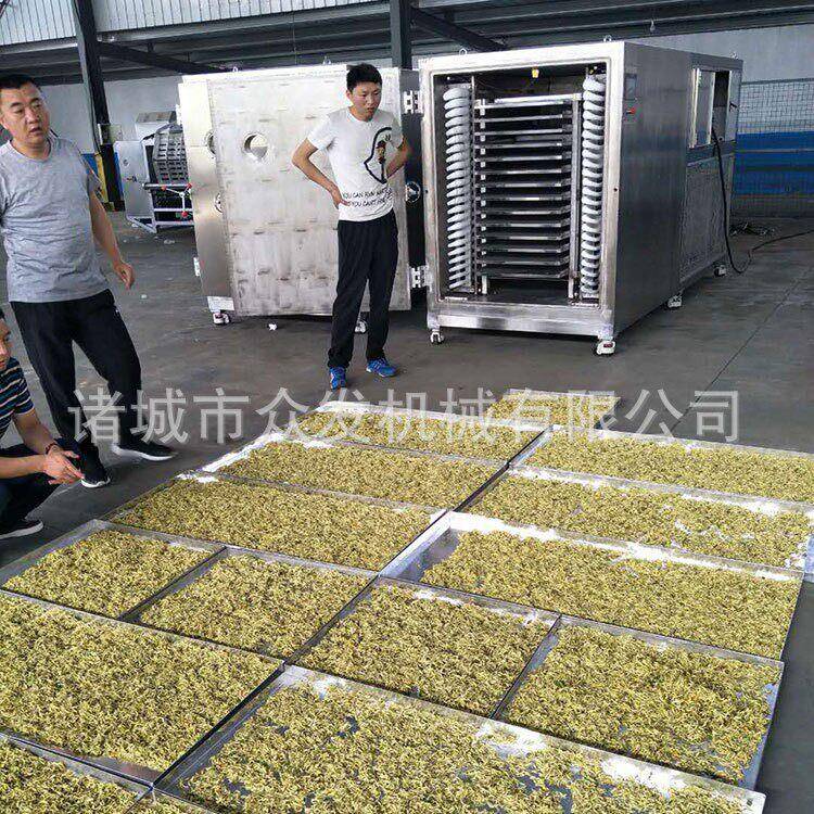 供应金银花真空冷冻脱水机金花茶真空冻干机鲜花咖啡冻干设备