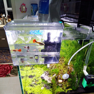 建荣BB10带水泵外挂藻缸孔雀鱼繁殖盒亚克力隔离盒孵化器