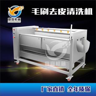 现货销售铜陵大姜毛刷清洗机 连续式安丘生姜清洗设备尺寸可定制