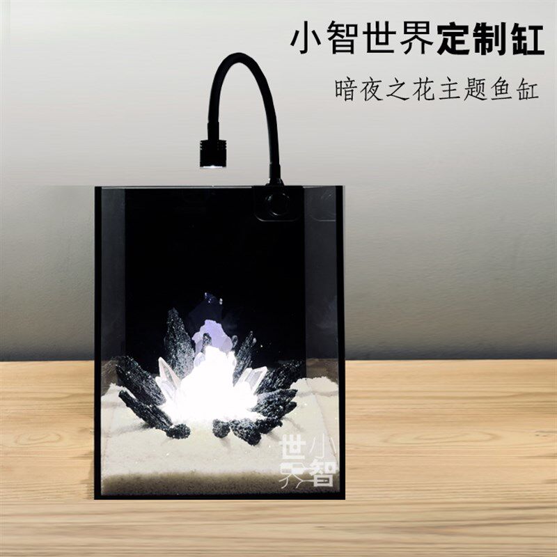 小智世界暗夜之花鱼缸高级小型一体免换水超白玻璃黑背桌面生态缸