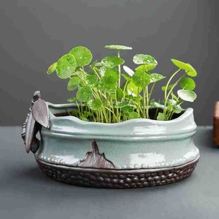 创意陶瓷绿萝水仙花盆菖蒲铜钱草碗莲睡莲大号水培花盆绿植园艺盆