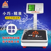 锐箭衡器60kg公斤立杆电子秤防水小台秤计价水产称卖鱼肉用海鲜称