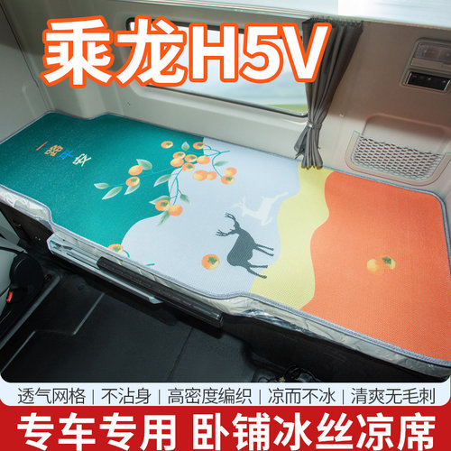 柳汽乘龙H5V货车内饰专用牵引车驾驶室改装饰用品国六卧铺垫凉席