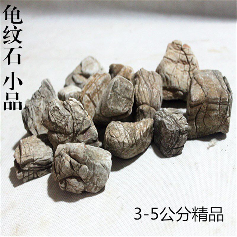精品龟纹石天然原石盆景石根抱石造景石假山石鱼缸石奇石小龟纹石