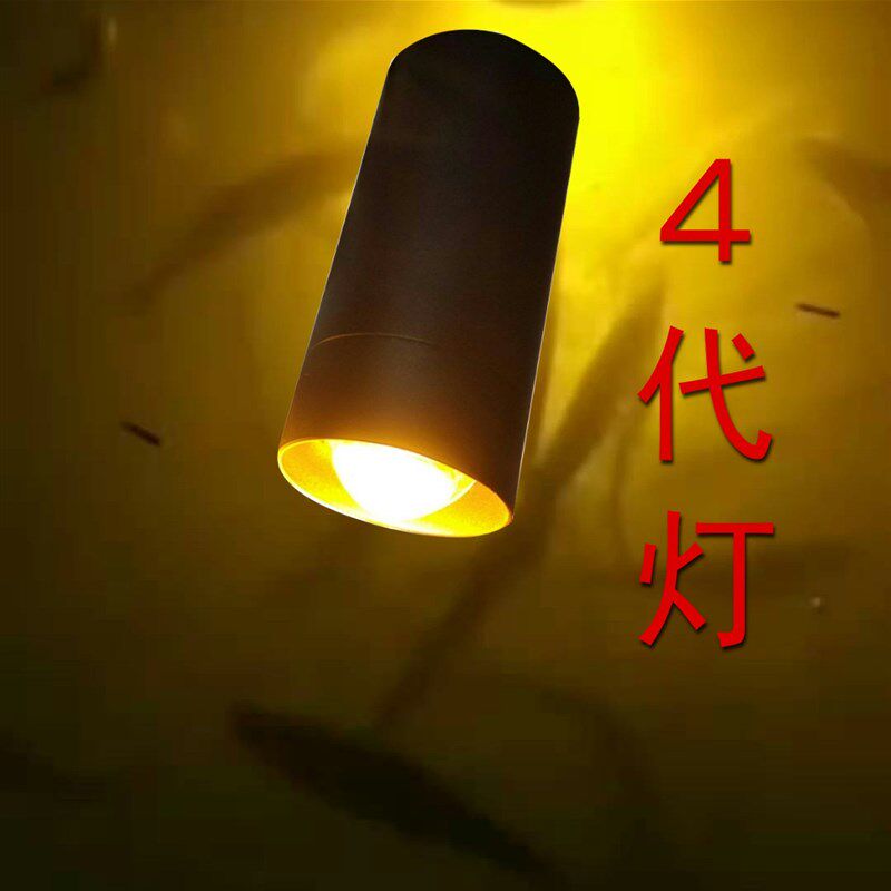瑞欧姆新款筏钓聚光型4代水下款led聚鱼灯便携式50瓦大功率诱鱼