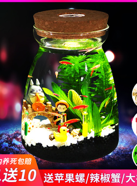 带LED灯迷你水族箱创意diy生态瓶鱼微景观办公桌面小型玻璃鱼缸