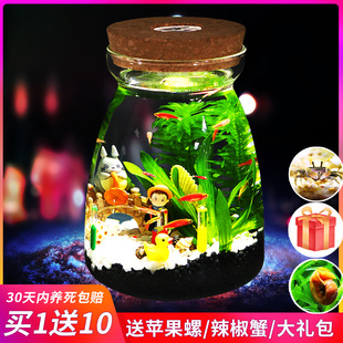 带LED灯迷你水族箱创意diy生态瓶鱼微景观办公桌面小型玻璃鱼缸