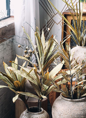 复古干燥仿真花叶大叶片枯枝枯叶装饰凤梨叶银桦树叶干花摆件插花