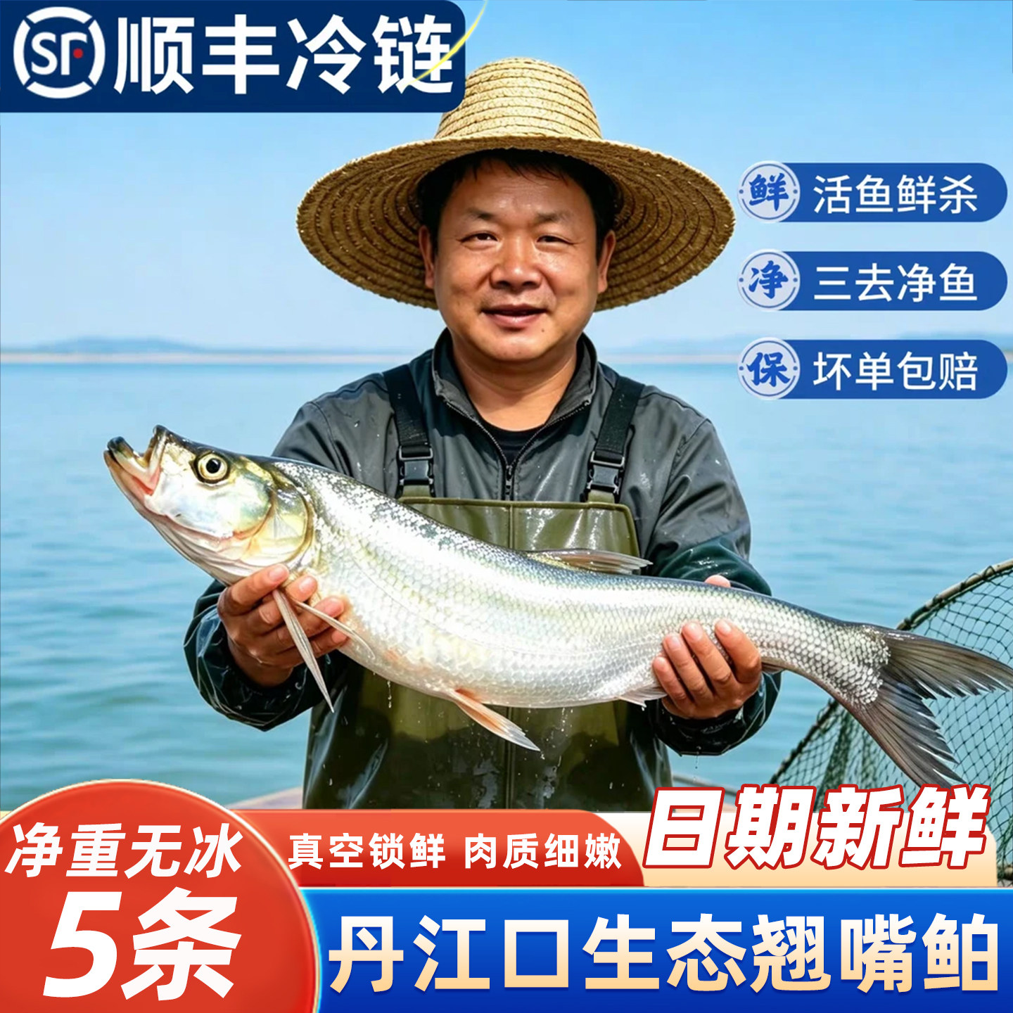 水都翘嘴鲌三去净膛翘嘴白大白刁