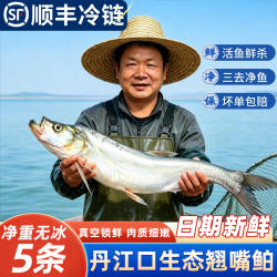 翘嘴鲌湖北丹江口生态淡水鱼新冰鲜冷冻大白刁子鱼三去净膛翘嘴白