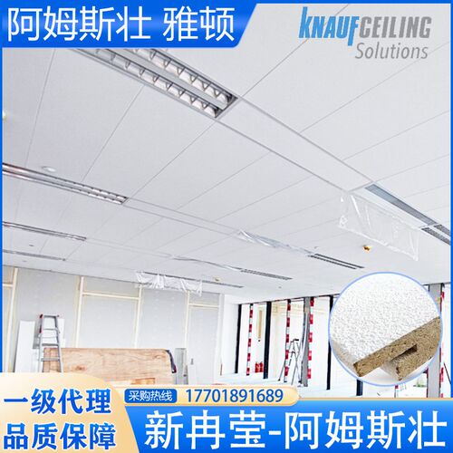 阿姆斯壮雅顿SL2暗架矿棉板3001200条形吸音磨砂吊顶天花W4667