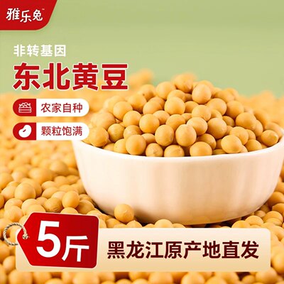 东北非转基因黄豆新货小农家自种大豆打豆发豆芽专用五谷杂粮尝鲜