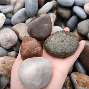 天然河卵石 装饰建材滤料园林铺路变压器油池填料5-8cm鹅卵石石头