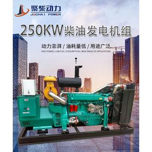 潍坊250kw柴油发电机组300kw全自动养殖场备用电源400千瓦发电机