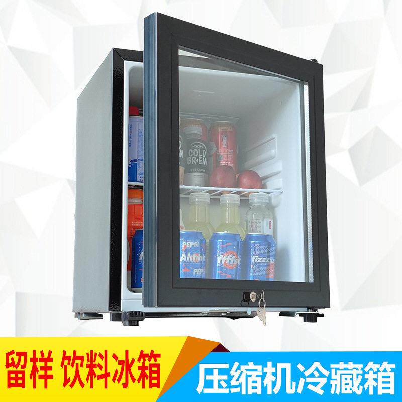 46L学校幼儿园留样柜食品冷藏箱门家用饮料保鲜展示柜冰箱