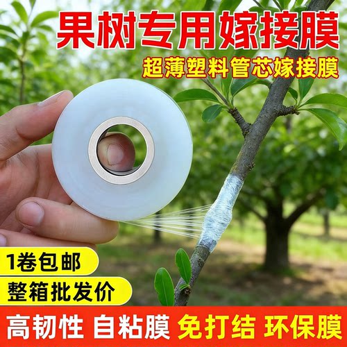 果树嫁接膜专用膜接树工具全套树苗缠绕打包膜pe缠绕膜免拆自粘膜