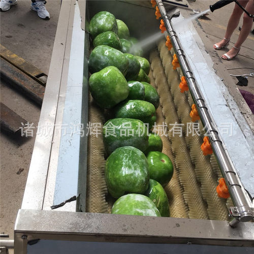 全自动葛根毛刷清洗机 生姜脱皮洗泥机 多功能蔬菜清洗机 厂家供