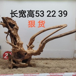 杜鹃根造景沉木一木成景草缸造景水陆缸雨林缸南美缸爬缸莫斯树