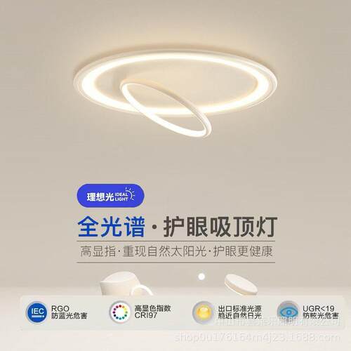 高级感圆环卧室灯吸顶灯现代简约客厅灯创意极简房间ins风主卧灯