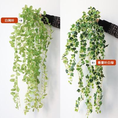 仿真藤条常青藤假藤条番薯藤假叶子管道装饰吊顶软装万年青藤
