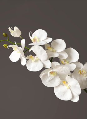 白色蓝色仿真花胶片蝴蝶兰九头单枝假花手感中式家居客厅装饰插花