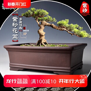 宜兴紫砂盆景盆 大号马槽长方形假山造景盆小叶紫檀松柏盆景花盆