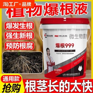 生根剂生根壮苗水溶肥桶装 果树蔬菜药材通用农用微生物菌剂冲施肥