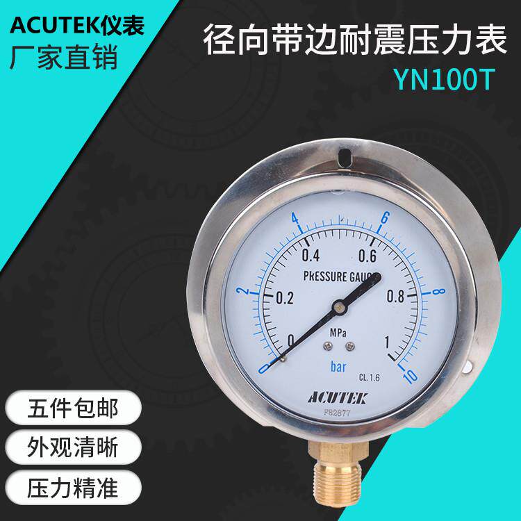 径向带边耐震压力表 YN100T 1MPA 20*1.5 船用 防震 抗震压力表